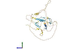 AlphaFold protein structure predicition of Mouse Recombinant Insm2 Protein, UniprotID Q9JMC2