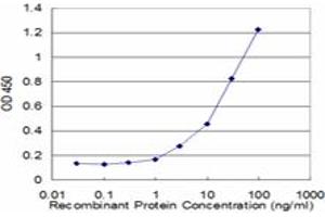 Detection limit for recombinant GST tagged CPT1A is approximately 1ng/ml as a capture antibody. (CPT1A antibody  (AA 461-550))