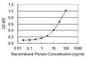 Detection limit for recombinant GST tagged ZNF214 is 0. (ZNF214 antibody  (AA 210-319))