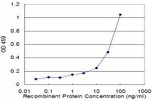 Detection limit for recombinant GST tagged DCN is approximately 1ng/ml as a capture antibody. (Decorin antibody  (AA 1-359))