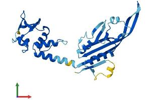 AlphaFold protein structure predicition of Mouse Recombinant Kctd21 Protein, UniprotID Q3URF8 (KCTD21 Protein (AA 1-260) (His tag))