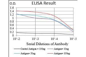 Black line: Control Antigen (100 ng), Purple line: Antigen(10 ng), Blue line: Antigen (50 ng), Red line: Antigen (100 ng), (ADRP antibody  (AA 286-437))