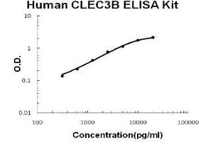 Human Tetranectin/CLEC3B PicoKine ELISA Kit standard curve