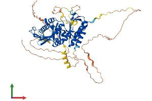AlphaFold protein structure predicition of Human Recombinant PIP5K1A Protein, UniprotID Q99755