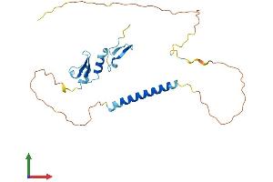 Protein Structure (PS) image for Tumor Necrosis Factor Receptor Superfamily, Member 13B (TNFRSF13B) (AA 1-249) protein (His tag) (ABIN7561490)