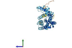 AlphaFold protein structure predicition of Human Recombinant OR10AC1 Protein, UniprotID Q8NH08 (OR10AC1P Protein (AA 1-325) (His tag))