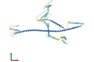 AlphaFold protein structure predicition of Human Recombinant CEP70 Protein, UniprotID Q8NHQ1
