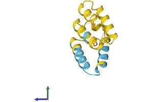 AlphaFold protein structure predicition of Human Recombinant NBEAP1 Protein, UniprotID P0C6P0 (NBEAP1 Protein (AA 1-100) (His tag))