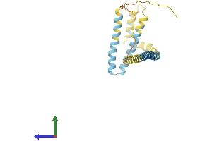 AlphaFold protein structure predicition of Mouse Recombinant Reep1 Protein, UniprotID Q8BGH4 (Receptor Accessory Protein 1 Protein (REEP1) (AA 1-201) (His tag))