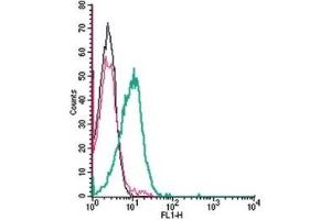 Flow Cytometry (FACS) image for anti-KISS1 Receptor (KISS1R) (AA 292-305), (Extracellular) antibody (ABIN7043294)