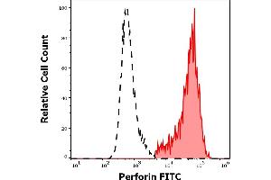 Separation of human Perforin positive CD56 positive lymphocytes (red-filled) from Perforin negative CD56 negative lymphocytes (black-dashed) in flow cytometry analysis (intracellular staining) of human peripheral whole blood stained using anti-human Perforin (dG9) FITC antibody (4 μL reagent / 100 μL of peripheral whole blood). (Perforin 1 antibody  (FITC))