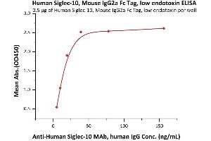 Immobilized Human Siglec-10, Mouse IgG2a Fc Tag, low endotoxin (ABIN5954971,ABIN6253519) at 5 μg/mL (100 μL/well) can bind A Siglec-10 MAb, human IgG with a linear range of 0. (SIGLEC10 Protein (AA 17-546) (Fc Tag))