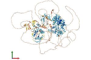AlphaFold protein structure predicition of Mouse Recombinant Pogz Protein, UniprotID Q8BZH4 (POGZ Protein (AA 1-1409) (His tag))