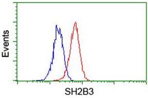 Image no. 2 for anti-SH2B Adaptor Protein 3 (SH2B3) antibody (ABIN1500910) (SH2B3 antibody)