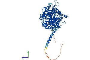 AlphaFold protein structure predicition of Human Recombinant MTM1 Protein, UniprotID Q13496 (MTM1 Protein (AA 1-603) (His tag))