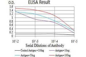 Black line: Control Antigen (100 ng),Purple line: Antigen (10 ng), Blue line: Antigen (50 ng), Red line:Antigen (100 ng) (MITF antibody  (AA 1-114))
