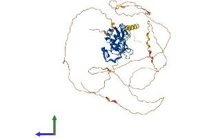 AlphaFold protein structure predicition of Mouse Recombinant Tbx15 Protein, UniprotID O70306 (T-Box 15 Protein (TBX15) (AA 1-602) (His tag))