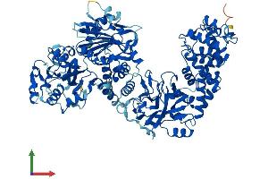 AlphaFold protein structure predicition of Mouse Recombinant Tcaf3 Protein, UniprotID Q6QR59 (FAM115E Protein (AA 1-914) (His tag))