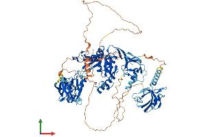 AlphaFold protein structure predicition of Human Recombinant DLG3 Protein, UniprotID Q92796 (DLG3 Protein (AA 1-817) (His tag))