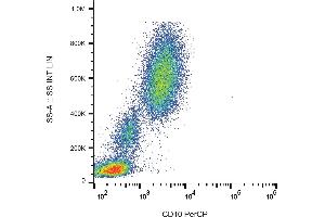 Flow cytometry analysis (surface staining) of human peripheral blood with anti-human CD10 (MEM-78) PerCP.