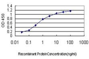 Detection limit for recombinant GST tagged CSF1R is approximately 0. (CSF1R antibody  (AA 21-120))