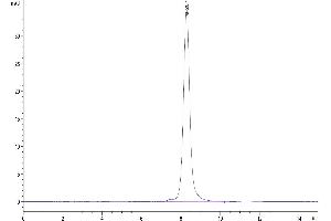 The purity of Human CD3E&CD3D was greater than 95 % as determined by SEC-HPLC. (CD3D & CD3E (AA 23-126) protein (Fc Tag))