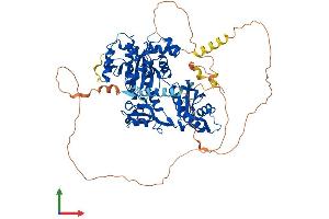 AlphaFold protein structure predicition of Mouse Recombinant Polh Protein, UniprotID Q9JJN0 (POLH Protein (AA 1-694) (His tag))