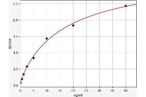 EPH Receptor B2 ELISA Kit