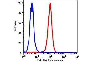 Image no. 2 for anti-CD38 antibody (Biotin) (ABIN3071825) (CD38 antibody  (Biotin))