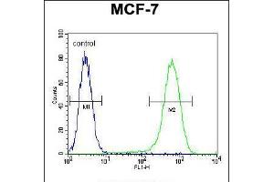 Flow cytometric analysis of MCF-7 cells (right histogram) compared to a negative control cell (left histogram). (NUDT8 antibody  (N-Term))