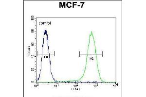 Flow cytometric analysis of MCF-7 cells (right histogram) compared to a negative control cell (left histogram).