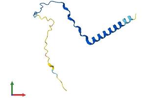 Protein Structure (PS) image for BBSome Interacting Protein 1 (BBIP1) (AA 1-92) protein (His tag) (ABIN7552633)