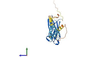 AlphaFold protein structure predicition of Human Recombinant MOSPD1 Protein, UniprotID Q9UJG1 (MOSPD1 Protein (AA 1-213) (His tag))