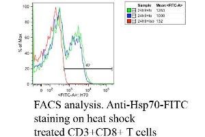 Fluorescence Activated Cell Sorting analysis using Mouse Anti-Hsp70: FITC Monoclonal Antibody, Clone C92 . (HSP70 antibody  (Biotin))