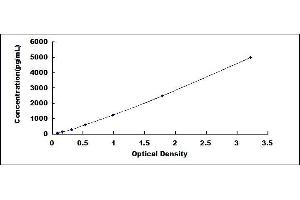 Typical standard curve (LCE1A ELISA Kit)