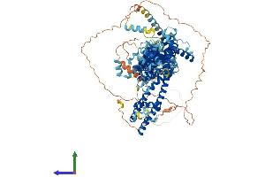 AlphaFold protein structure predicition of Human Recombinant TRPC5 Protein, UniprotID Q9UL62