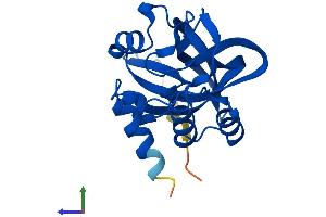 Protein Structure (PS) image for gamma-Glutamylcyclotransferase (GGCT) (AA 1-188) protein (His tag) (ABIN7547945)