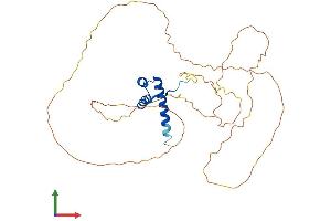 Protein Structure (PS) image for Homeobox D13 (HOXD13) (AA 1-343) protein (His tag) (ABIN7548398)