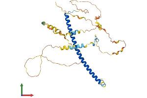 AlphaFold protein structure predicition of Human Recombinant CEBPA Protein, UniprotID P49715 (CEBPA Protein (AA 1-358) (His tag))