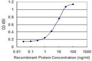 Detection limit for recombinant GST tagged SMO is 0. (SMO antibody  (AA 653-787))