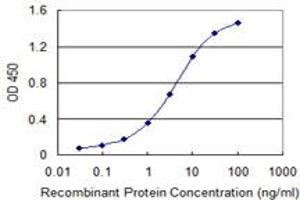 Detection limit for recombinant GST tagged SUOX is 0. (SUOX antibody  (AA 1-488))