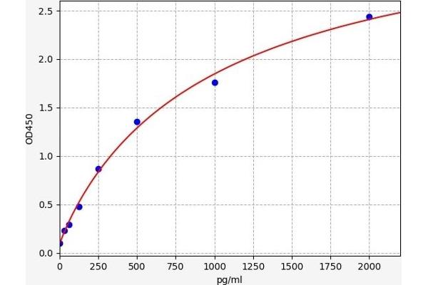 NRN1 ELISA Kit