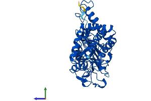 AlphaFold protein structure predicition of Human Recombinant PSAT1 Protein, UniprotID Q9Y617