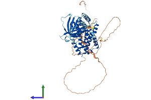 Protein Structure (PS) image for Ral GEF with PH Domain and SH3 Binding Motif 1 (RALGPS1) (AA 1-557) protein (His tag) (ABIN7551378)