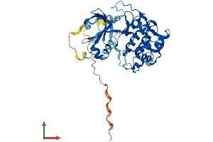 Protein Structure (PS) image for serum/glucocorticoid Regulated Kinase 2 (SGK2) (AA 1-367) protein (His tag) (ABIN7561840)
