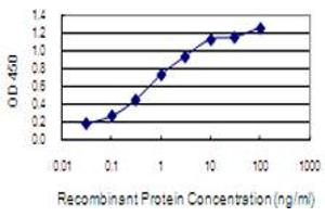 Detection limit for recombinant GST tagged NGEF is 0. (NGEF antibody  (AA 612-710))