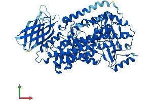 AlphaFold protein structure predicition of Mouse Recombinant Alox12e Protein, UniprotID P55249 (Alox12e Protein (AA 1-662) (His tag))