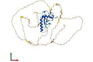 AlphaFold protein structure predicition of Human Recombinant PRR30 Protein, UniprotID Q53SZ7 (PRR30 Protein (AA 1-412) (His tag))