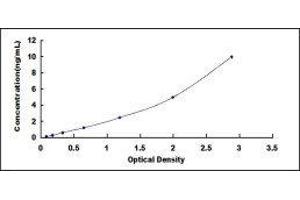 Coagulation Factor VIII (F8) ELISA Kit