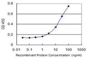 Detection limit for recombinant GST tagged TNFRSF19 is 1 ng/ml as a capture antibody. (TNFRSF19 antibody  (AA 30-119))
